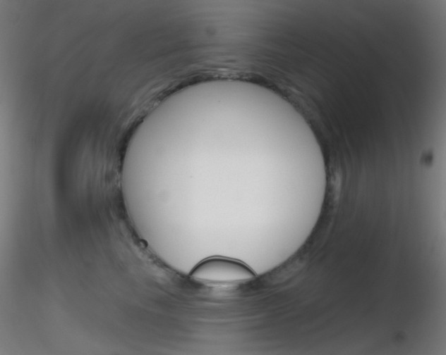 X0000116790665200912181056