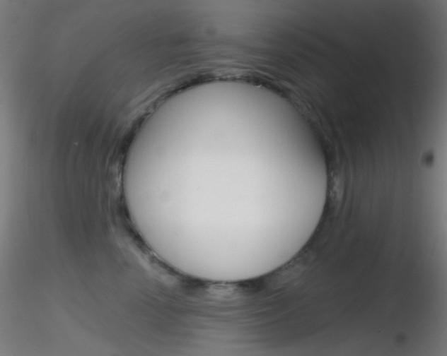 X0000116790666200912181056