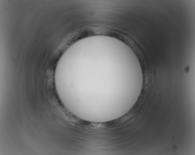 X0000116790667200912181056