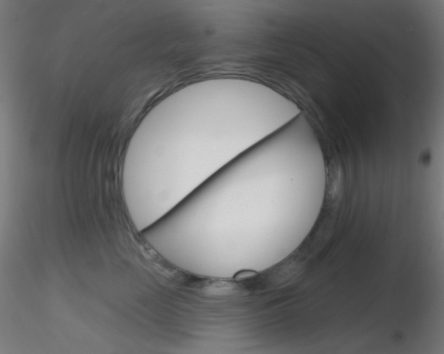 X0000116790669200912181056
