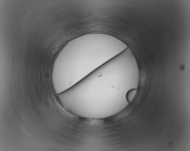 X0000116790670200912181056
