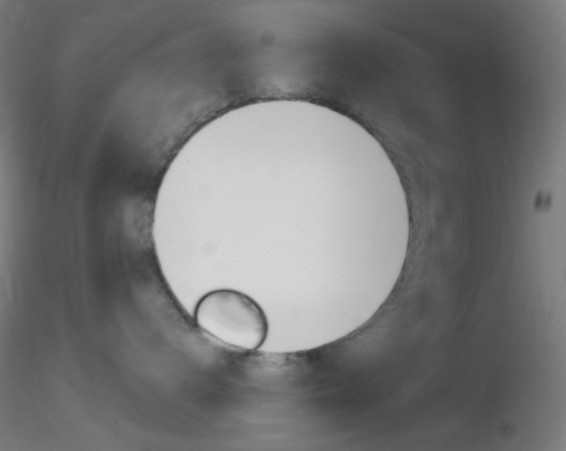 X0000116790672200912181056