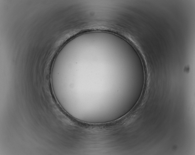 X0000116790673200912181055