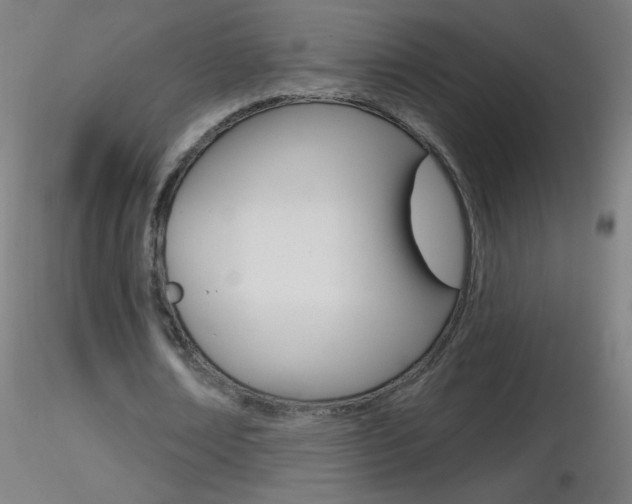 X0000116790674200912181055