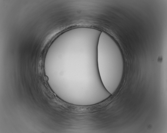 X0000116790675200912181055