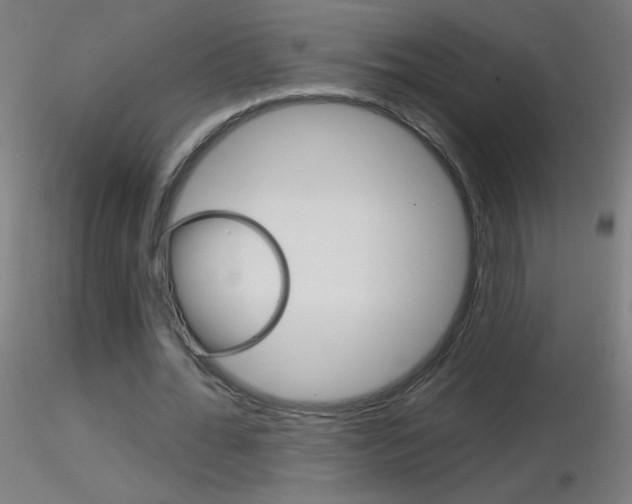 X0000116790676200912181055