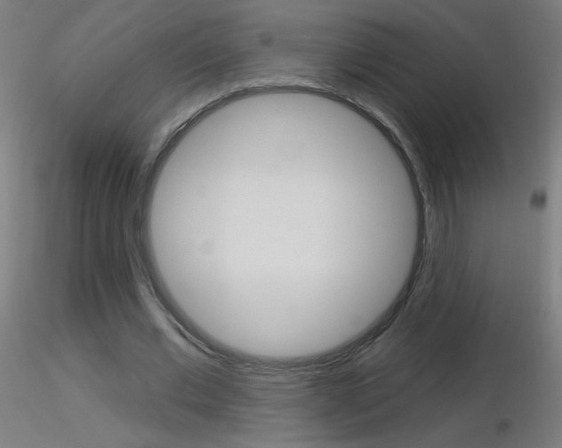 X0000116790677200912181055