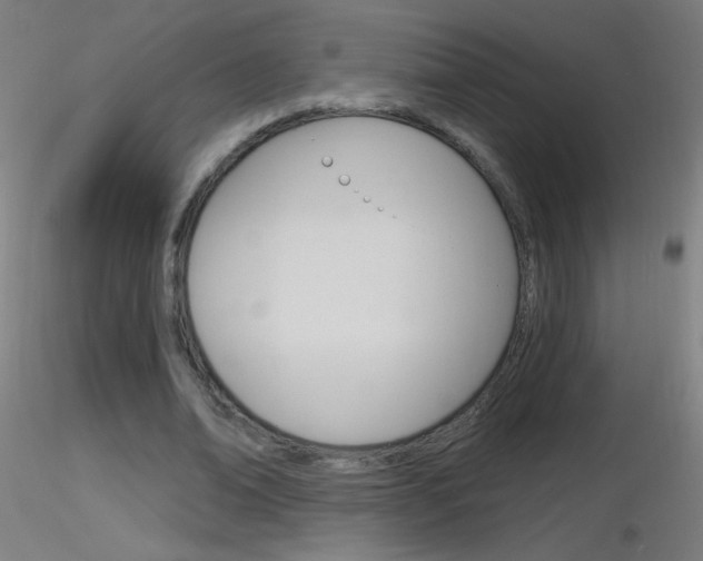 X0000116790678200912181055