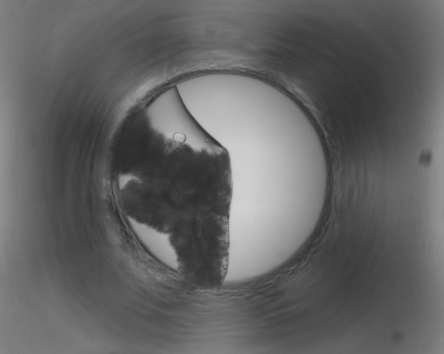 X0000116790679200912181055