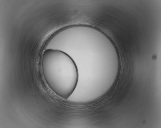 X0000116790680200912181055