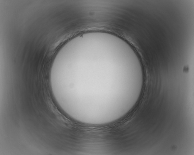 X0000116790681200912181055