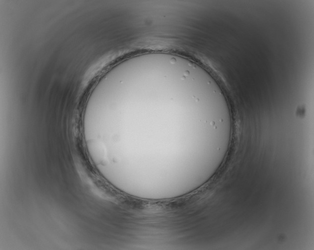 X0000116790682200912181055
