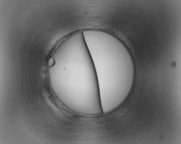 X0000116790683200912181055