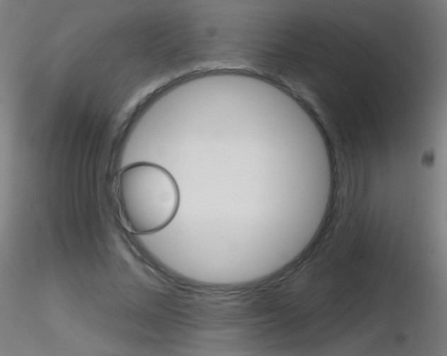 X0000116790684200912181055