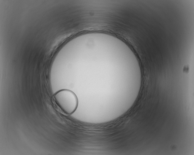X0000116790688200912181055