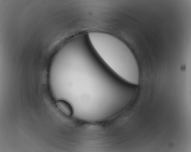 X0000116790689200912181055