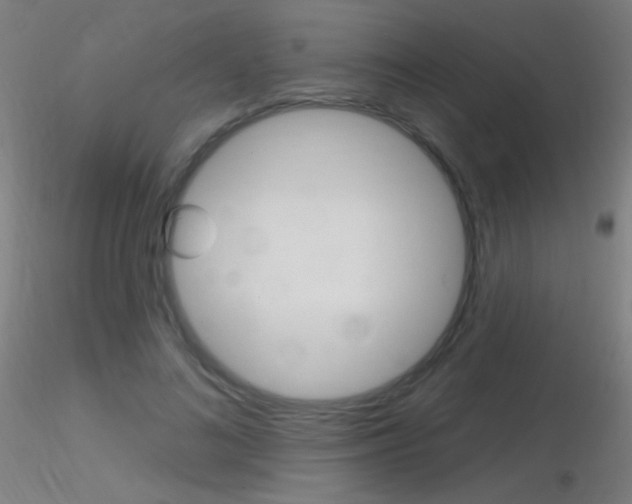X0000116790692200912181055
