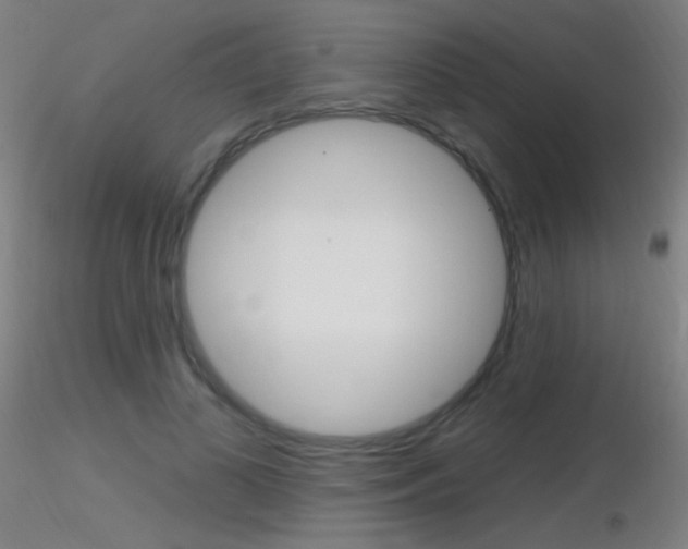 X0000116790693200912181055