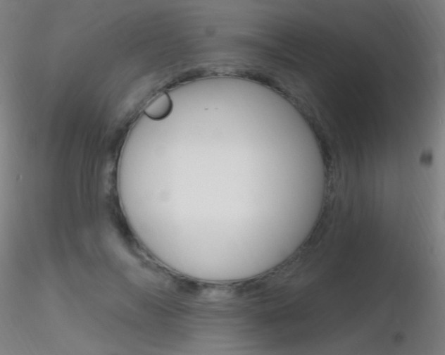 X0000116790694200912181055