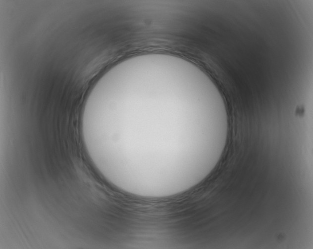 X0000116790696200912181054