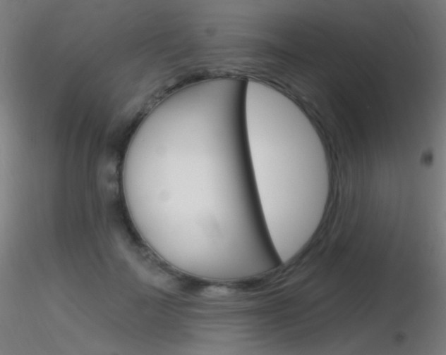 X0000116790699200912181054