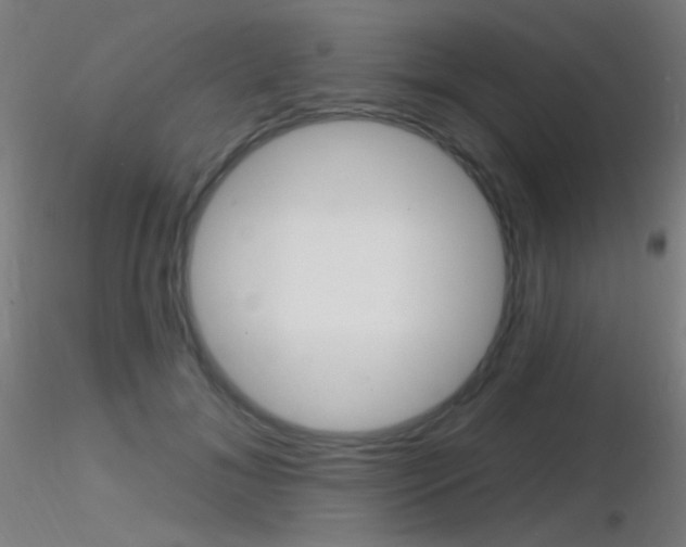 X0000116790700200912181054
