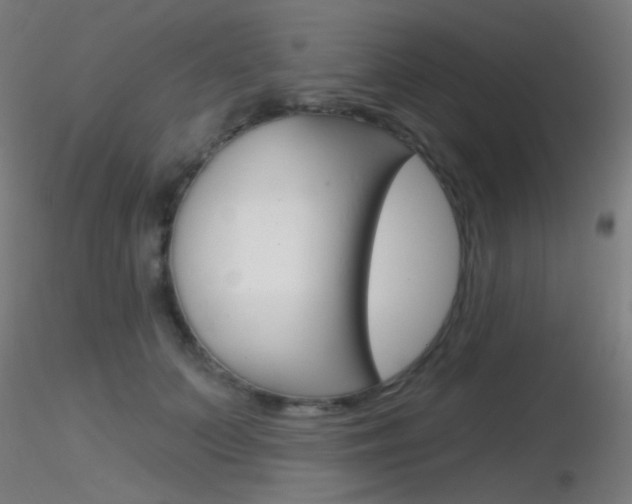 X0000116790703200912181054
