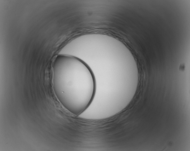 X0000116790704200912181054