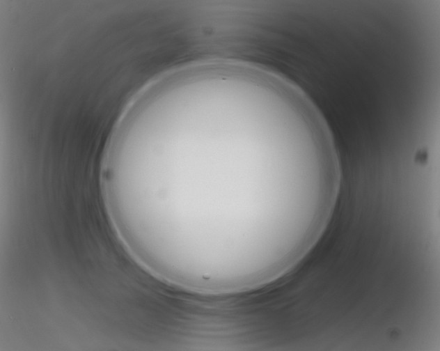 X0000116790705200912181054