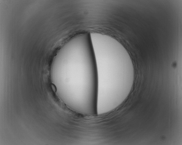 X0000116790707200912181054