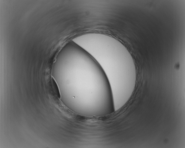 X0000116790708200912181054