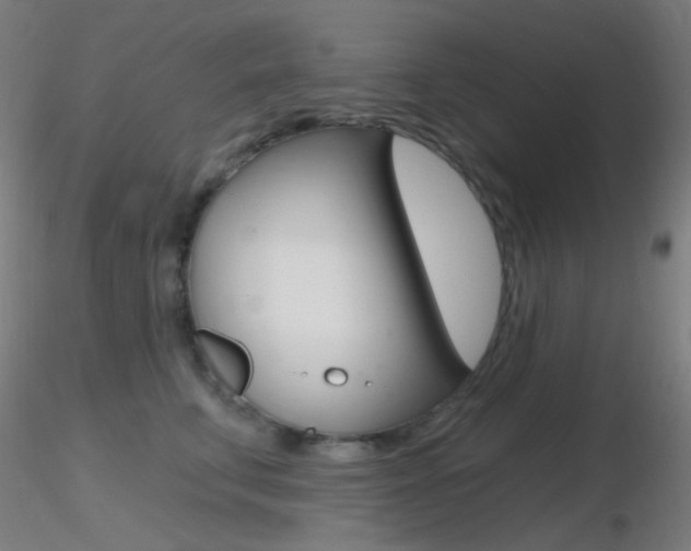 X0000116790711200912181054