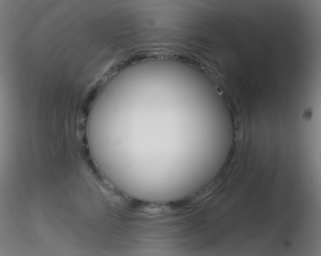 X0000116790712200912181054
