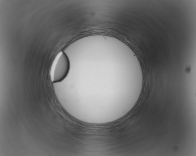 X0000116790713200912181054