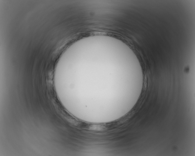 X0000116790714200912181054