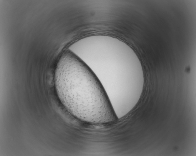 X0000116790715200912181054