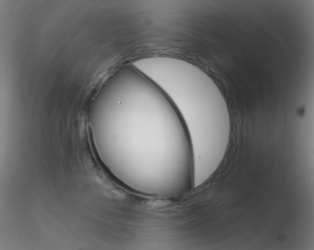 X0000116790716200912181054