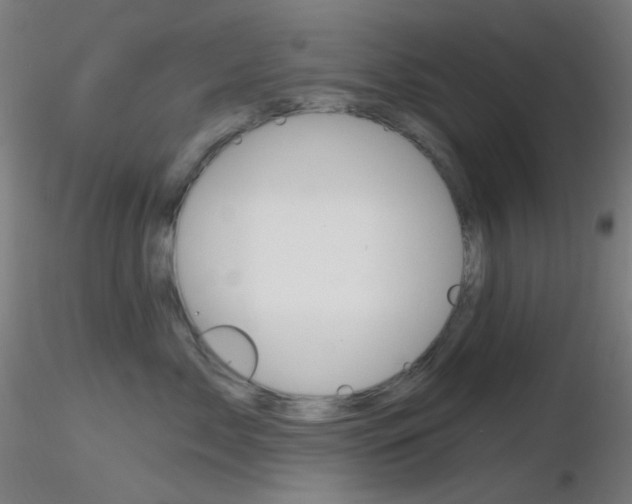 X0000116790717200912181054