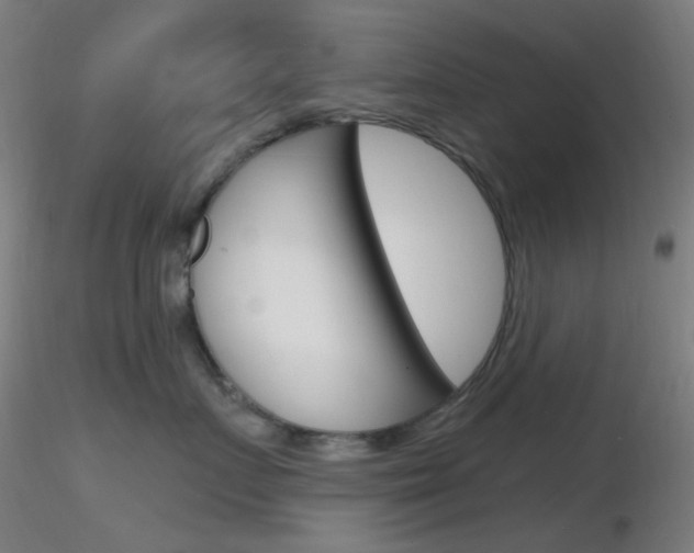 X0000116790719200912181054