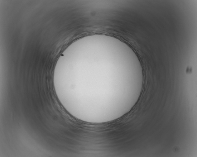 X0000116790720200912181054