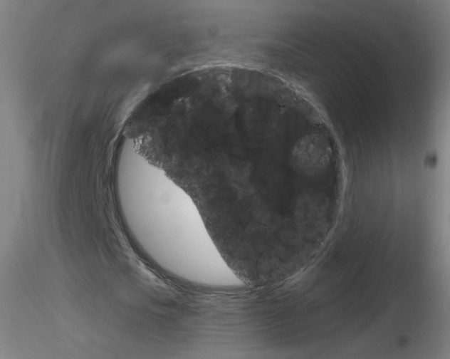 X0000116790721200912181053