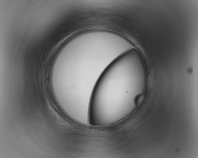 X0000116790722200912181053