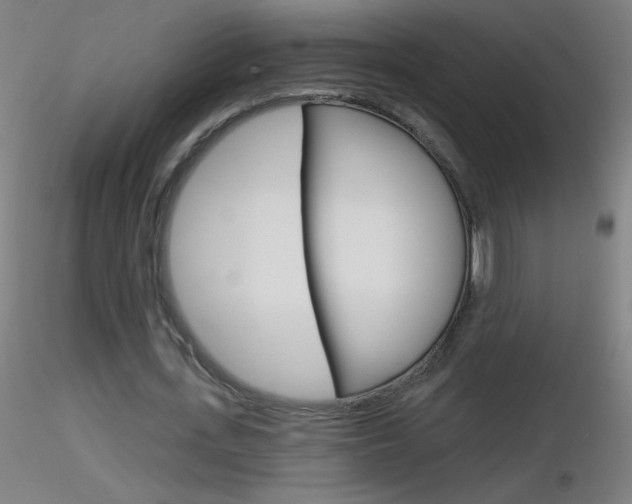 X0000116790723200912181053