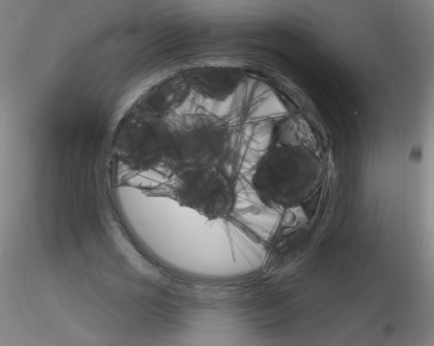 X0000116790725200912181053