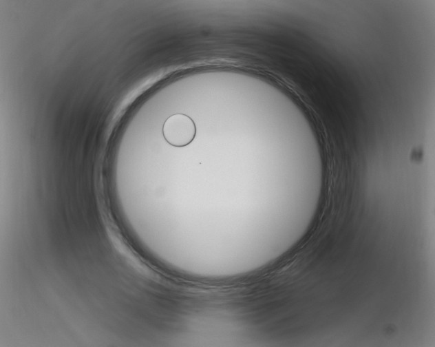 X0000116790726200912181053