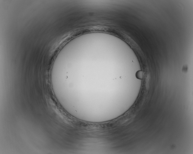 X0000116790729200912181053
