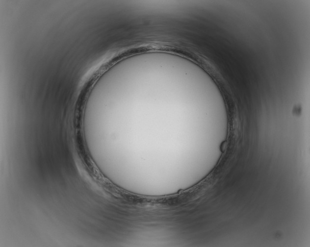 X0000116790730200912181053