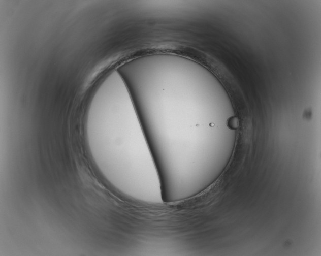 X0000116790731200912181053