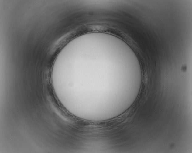 X0000116790733200912181054