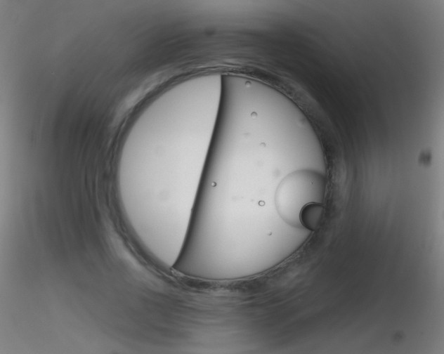 X0000116790734200912181054